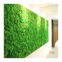 Zielona ściana - uprawnienia budowlane