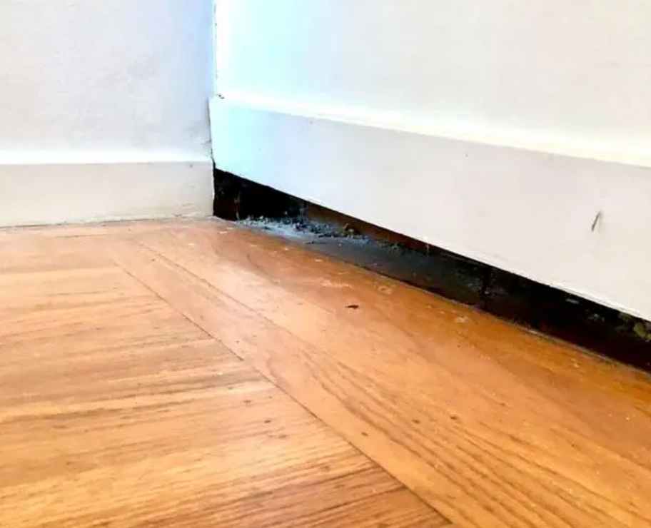 Jak rozpoznać, że strop wymaga wzmocnienia – praktyczny poradnik dla inwestorów i właścicieli budynków